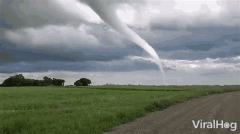 tornado kick gif|funny tornado gif.